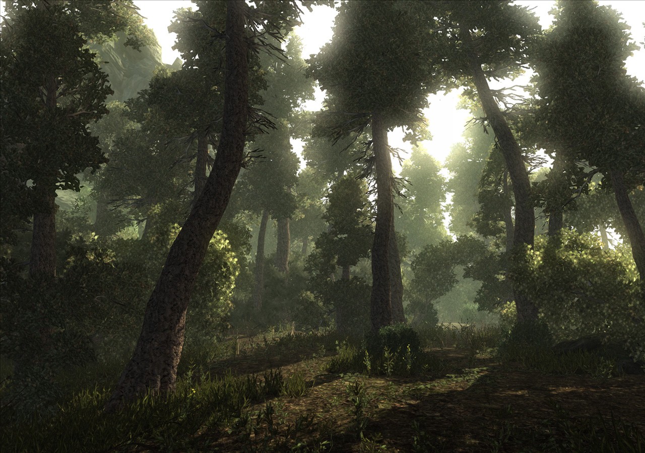 Risen- PC