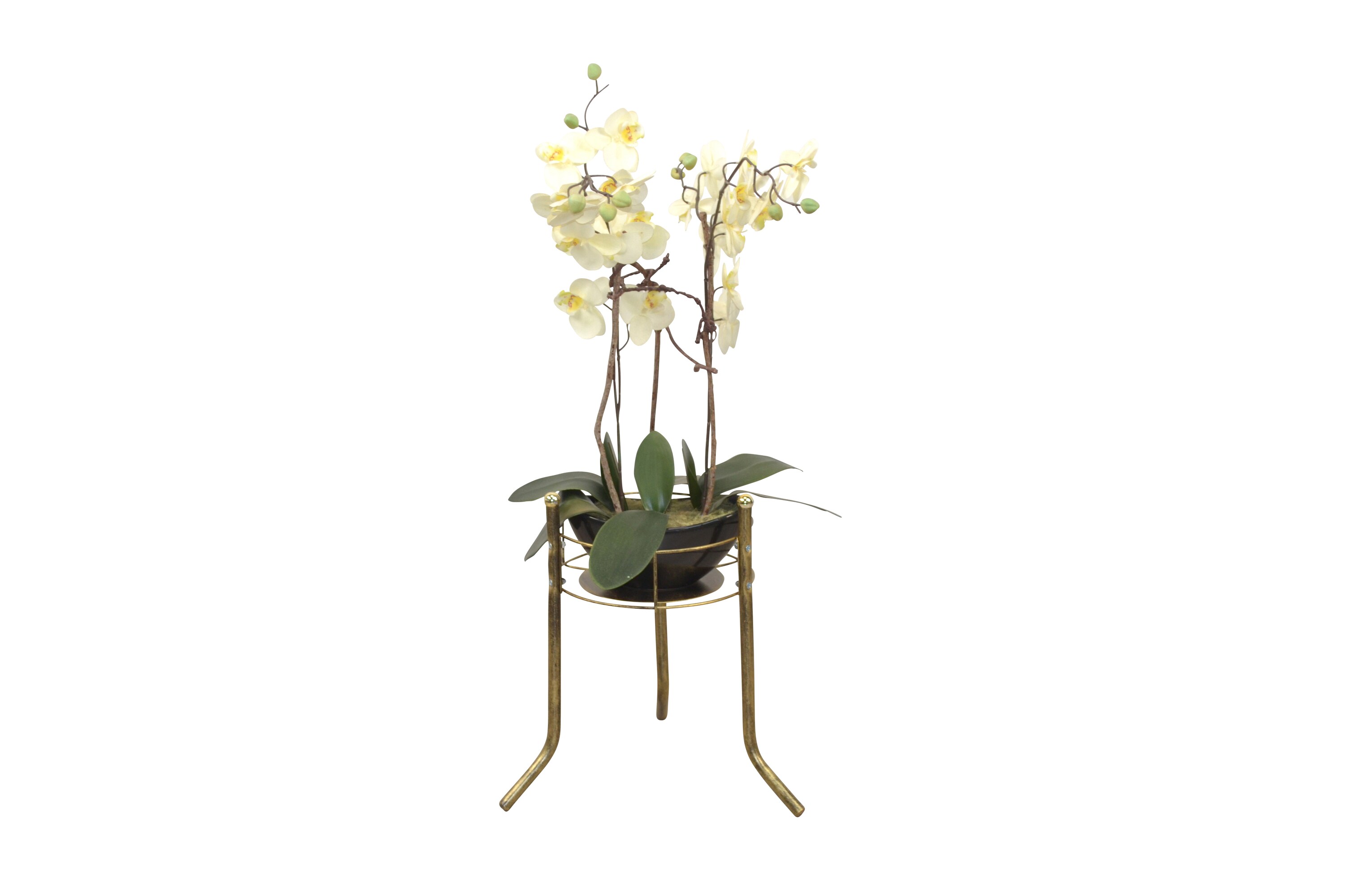 möbel direkt online Blumenständer Lina