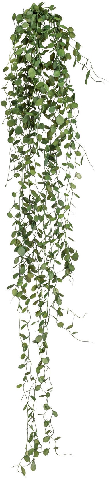 Creativ green Kunstranke »Mühlenbeckia-Hänger« 2er Set