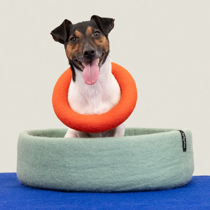 myfelt - Mats Hundespielzeug, Ring, rotorange