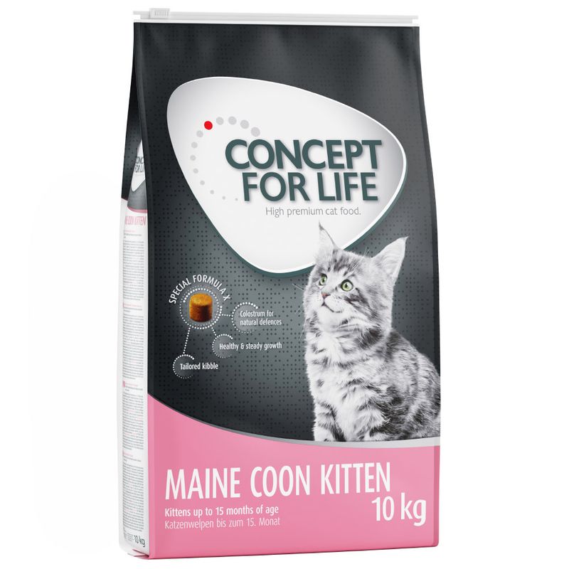 Concept for Life Maine Coon Kitten pour chaton