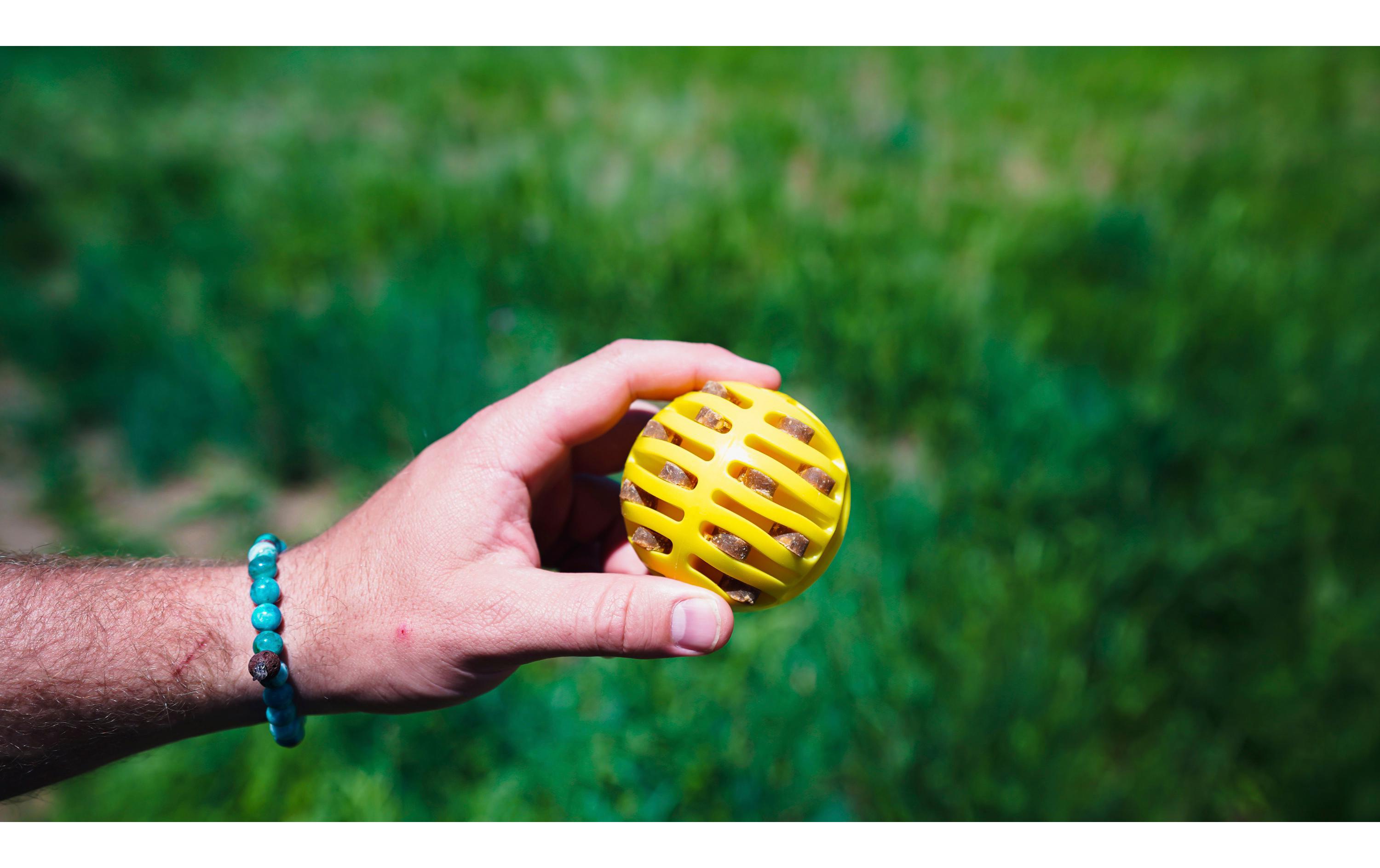 Hunde-Spielzeug Flingerz Ball mit Launcher, Orange/GelbWurf-Hundespielzeug