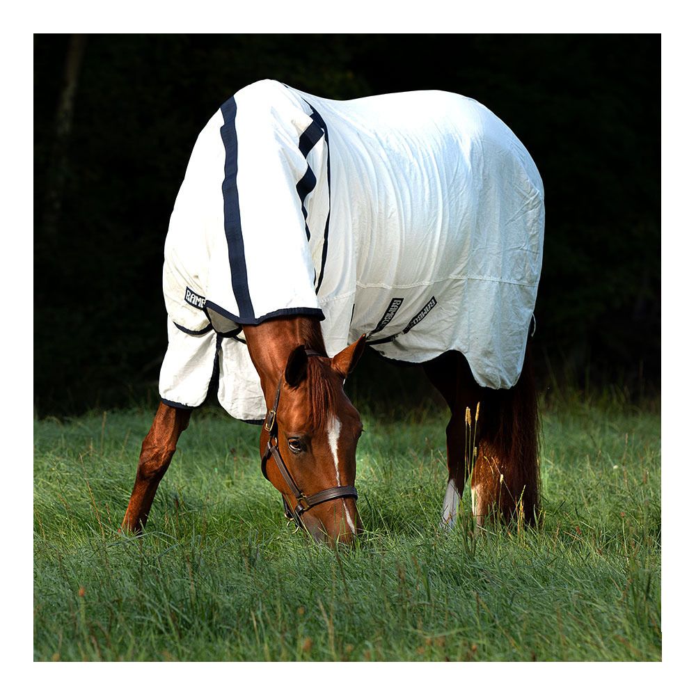Horseware RAMBO NATURA - Chemise + couvre-cou white/navy