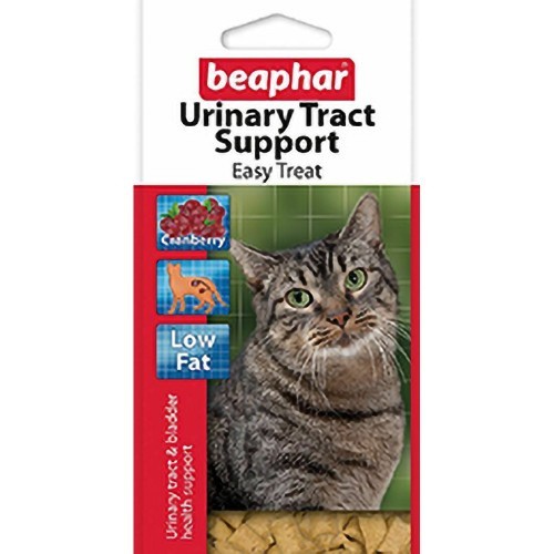 Petiscos benéficos para o trato urinário e cistite em gatos.