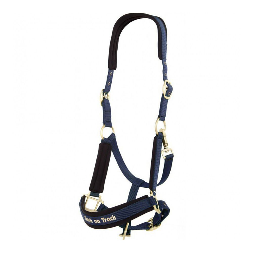 Back on Track WERANO - Licol bleu