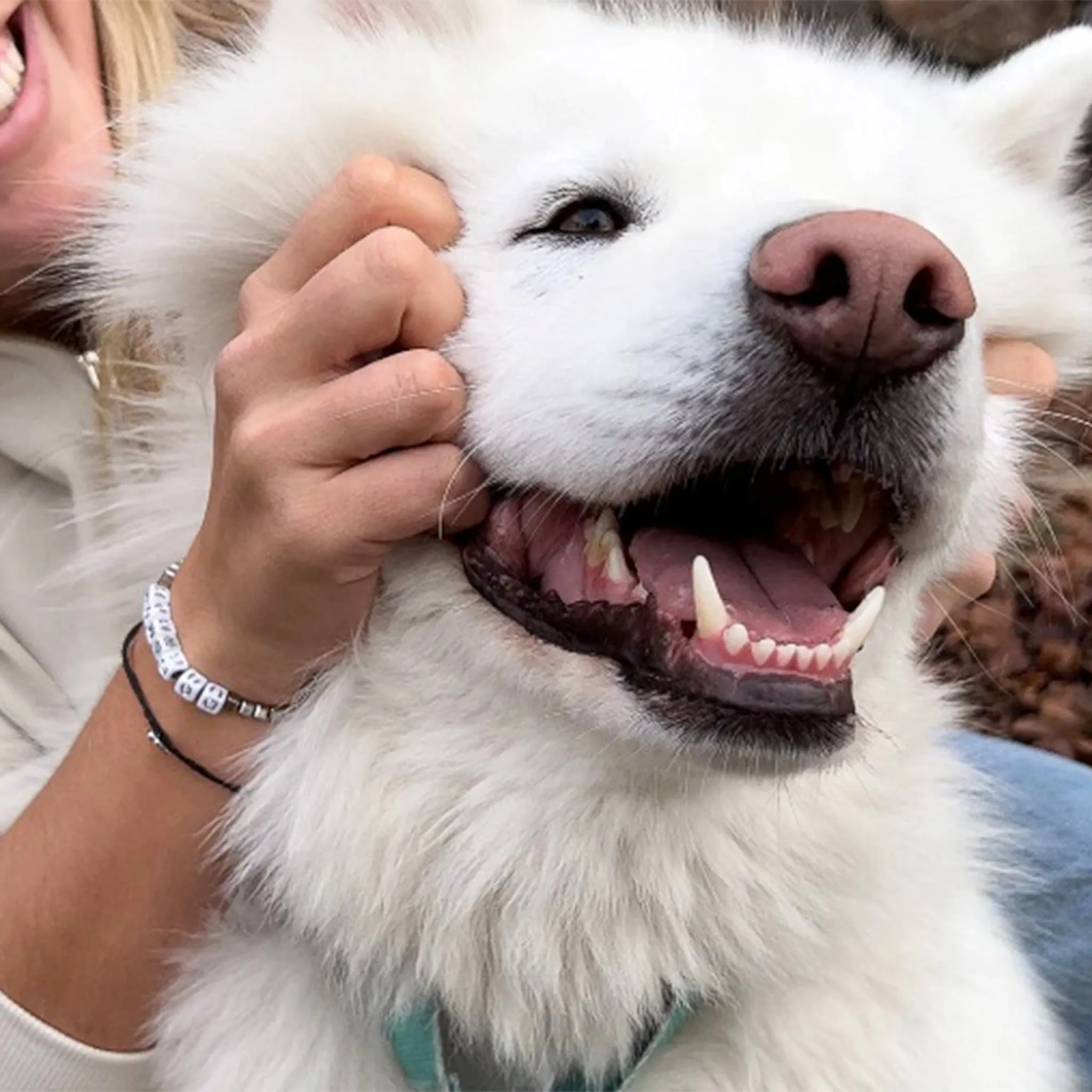 Puravida Bracelet Dog Mom Argent