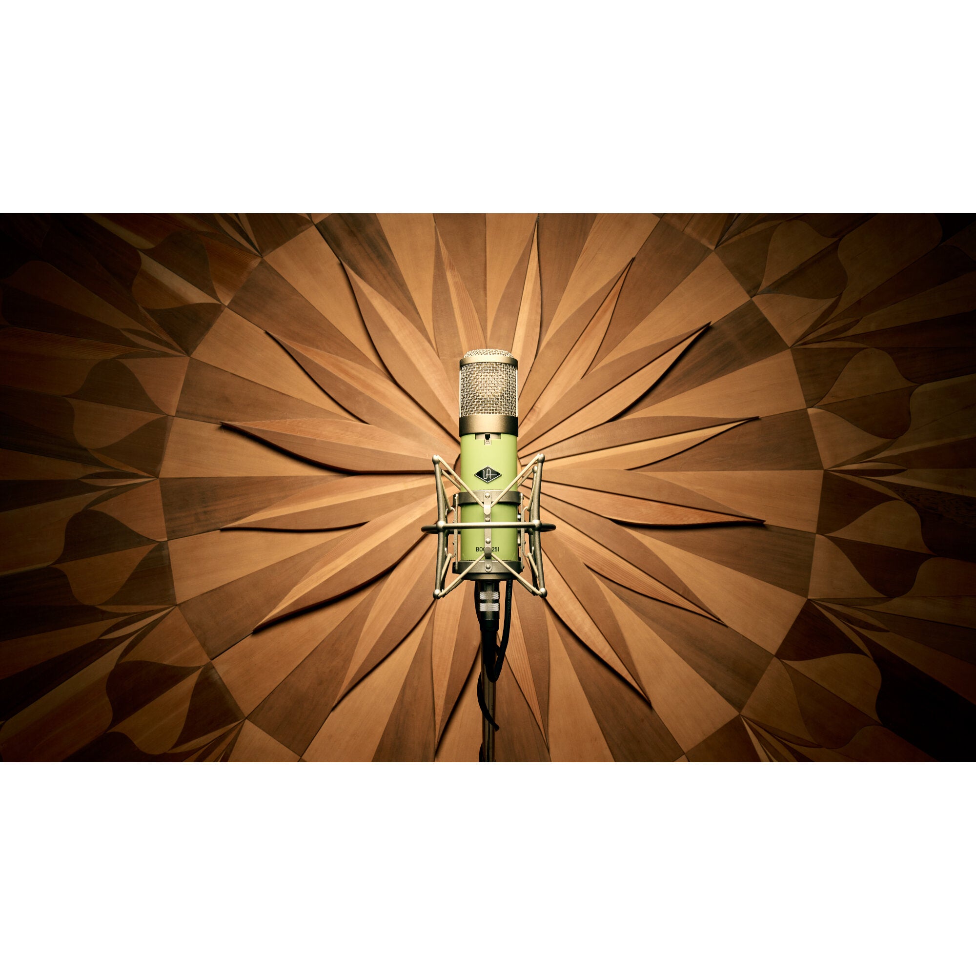 Universal Audio UA Bock 251 grootmembraan buizen condensatormicrofoon