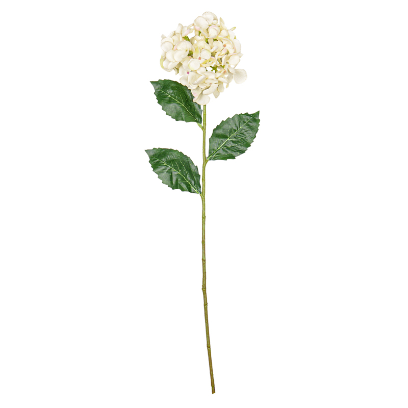 Tige d'hortensia 'Coeur d'Automne'