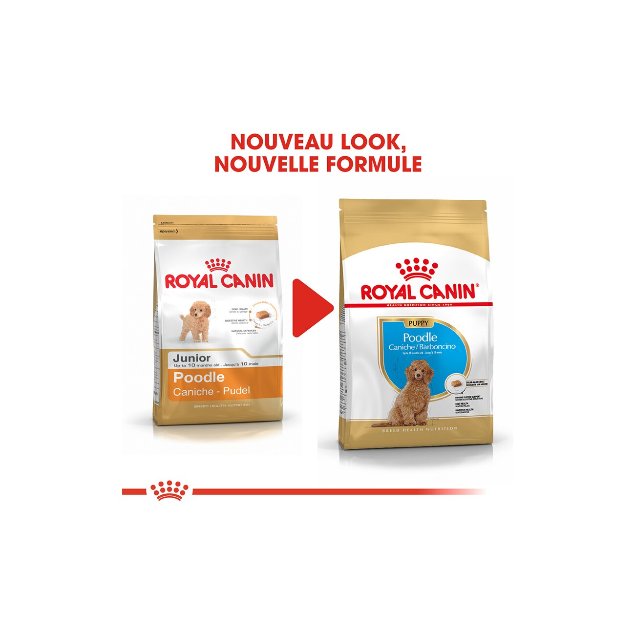 ROYAL CANIN BHN Poodle Puppy 3kg