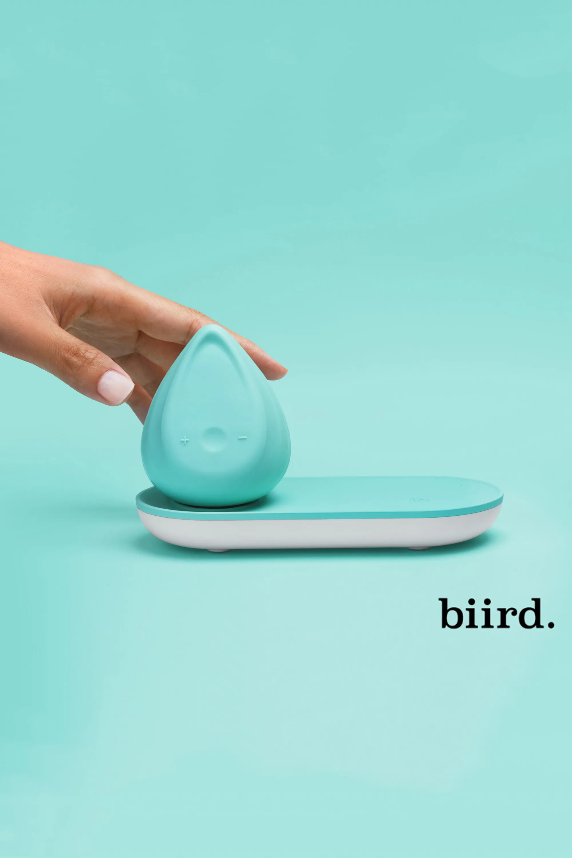 BIIRD Galet vibrant Evii