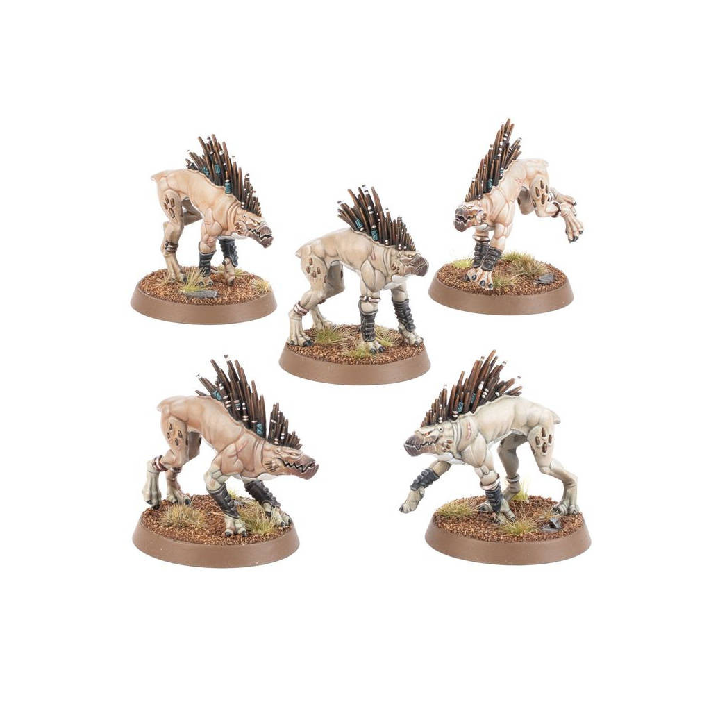 Warhammer 40K : T'Au Empire - Kroot Hounds