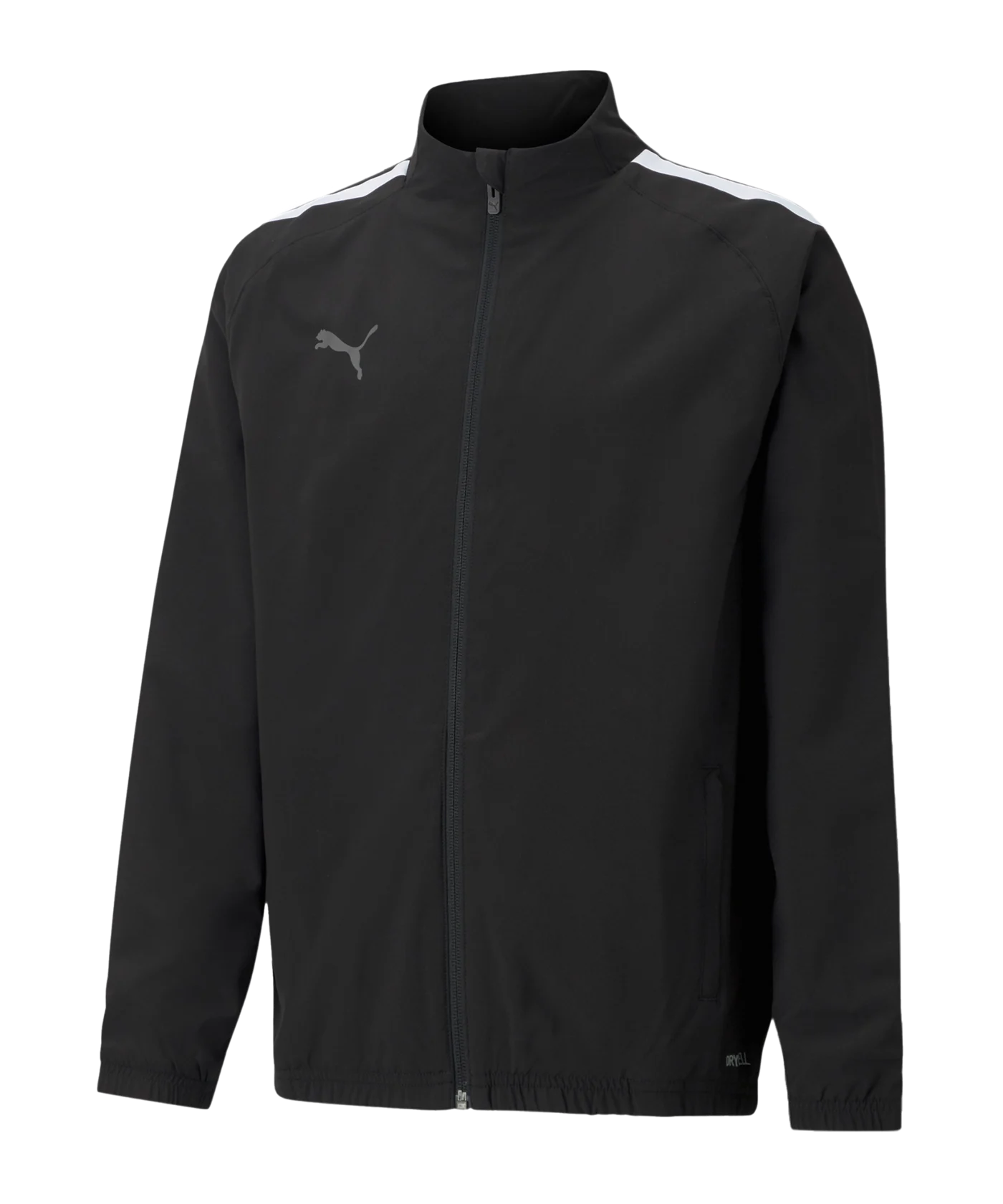 PUMA teamLIGA Sideline Jacke Schwarz F03