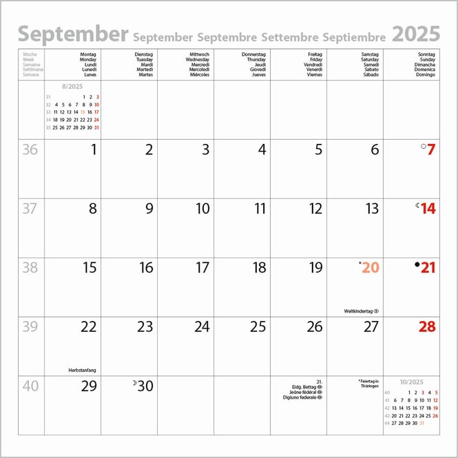 Kalender - 2025 - Cats