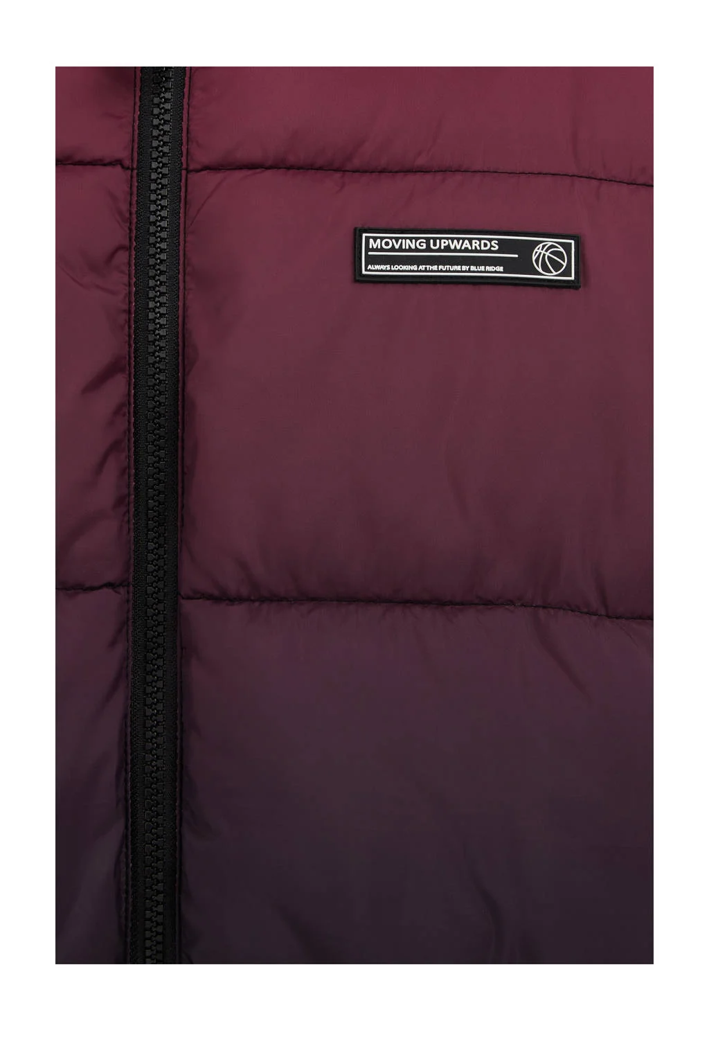 WE Fashion dip-dye gewatteerde winterjas carmine