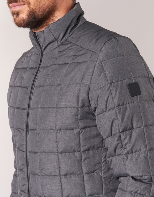 Scotch & Soda - DARLOU - Gris