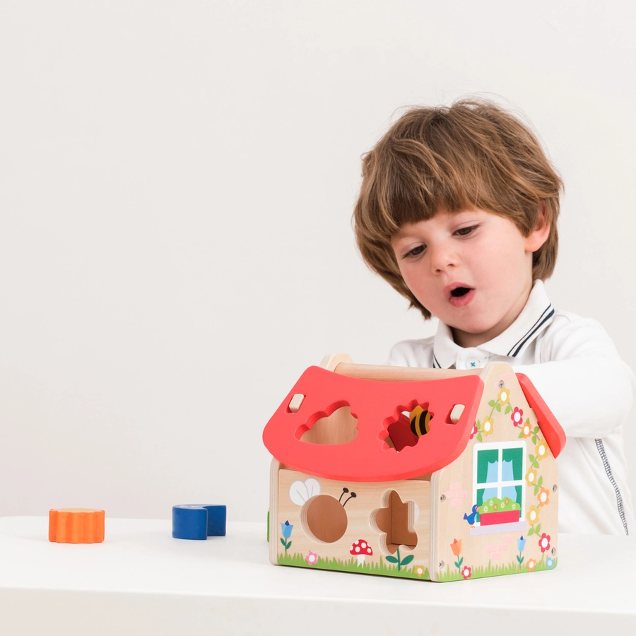 New Classic Toys Sortierspiel Haus 8 Steine bunt