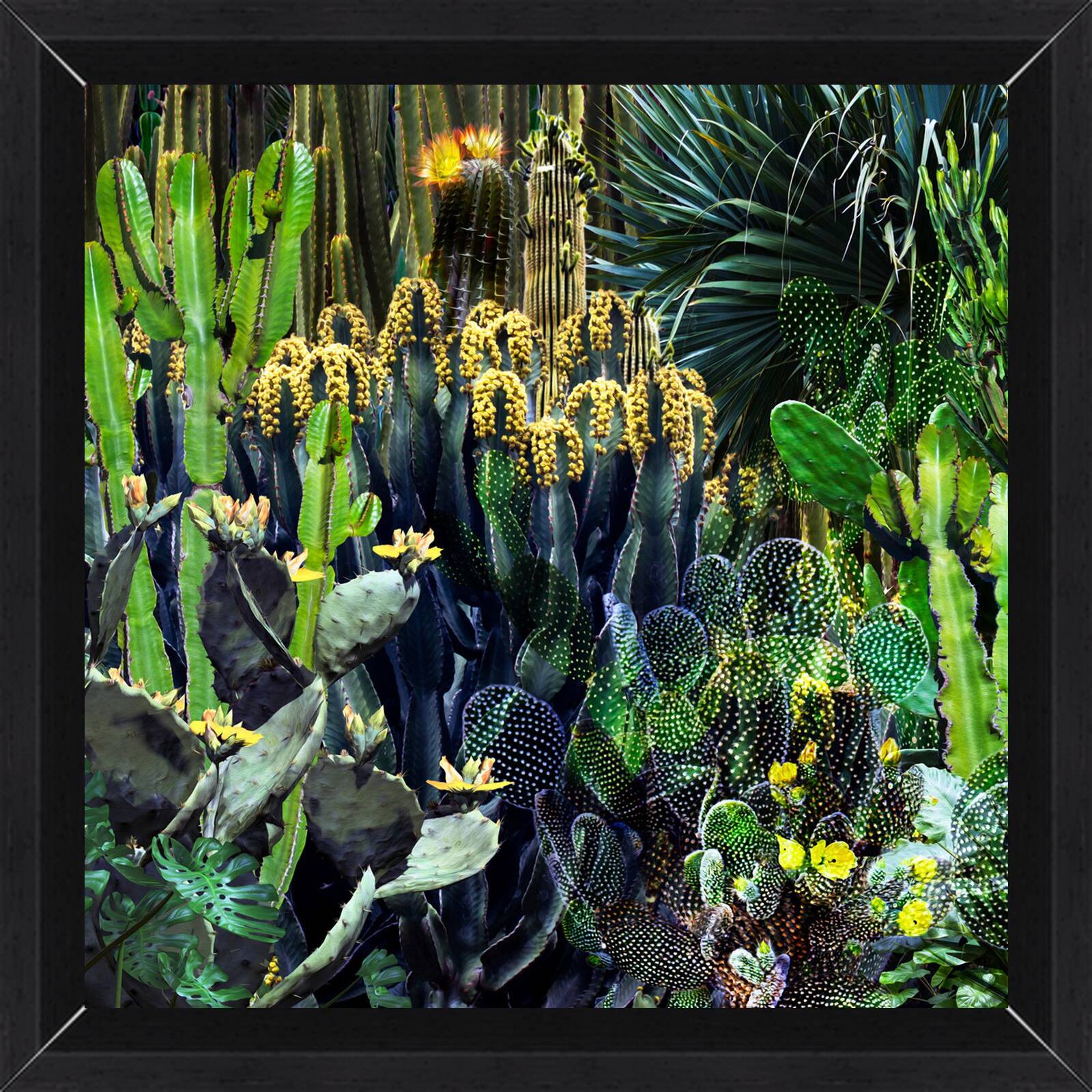 Cactus Blossoms V by Juan Fortes - Limited Edition. Edition of: 150. Signed.