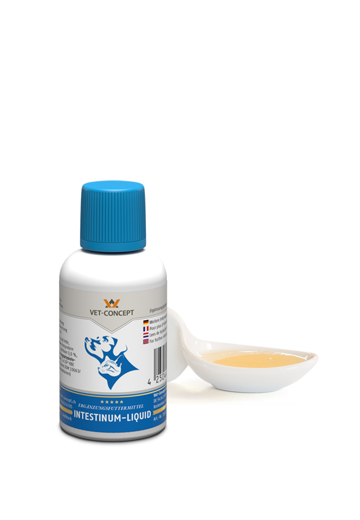 Intestinum-Liquid, 30ml