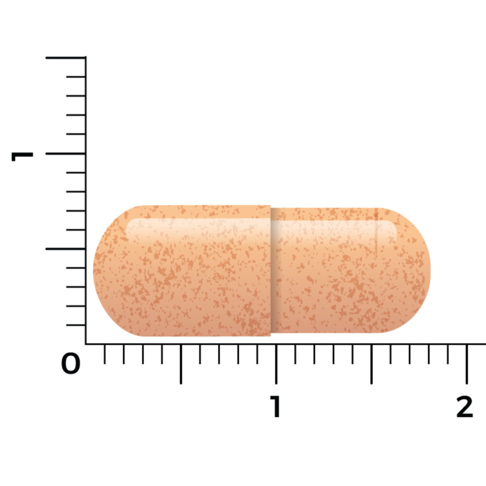 Vitakruid Saffraan 28 MG & Bioperine 60 vegacapsules