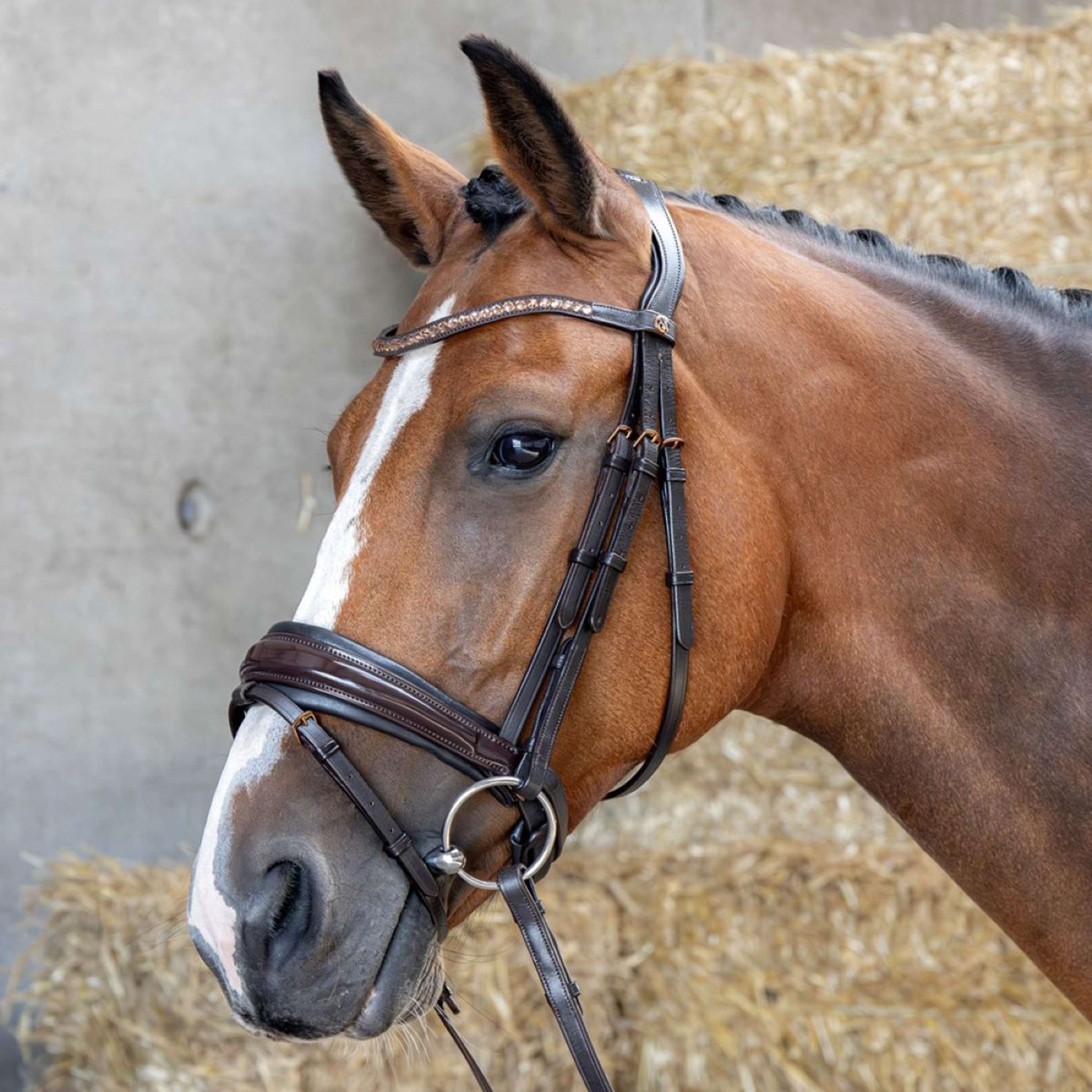 Harry's Horse Hoofdstel Copper Bruin
