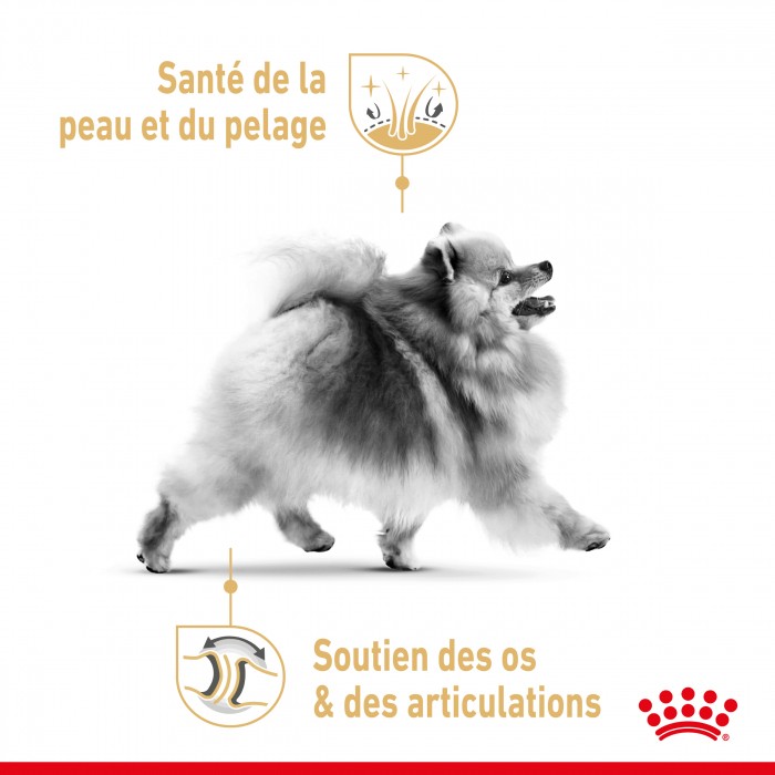 Royal Canin Pomeranian Adult (Spitz Nain) - Pâtée pour chien