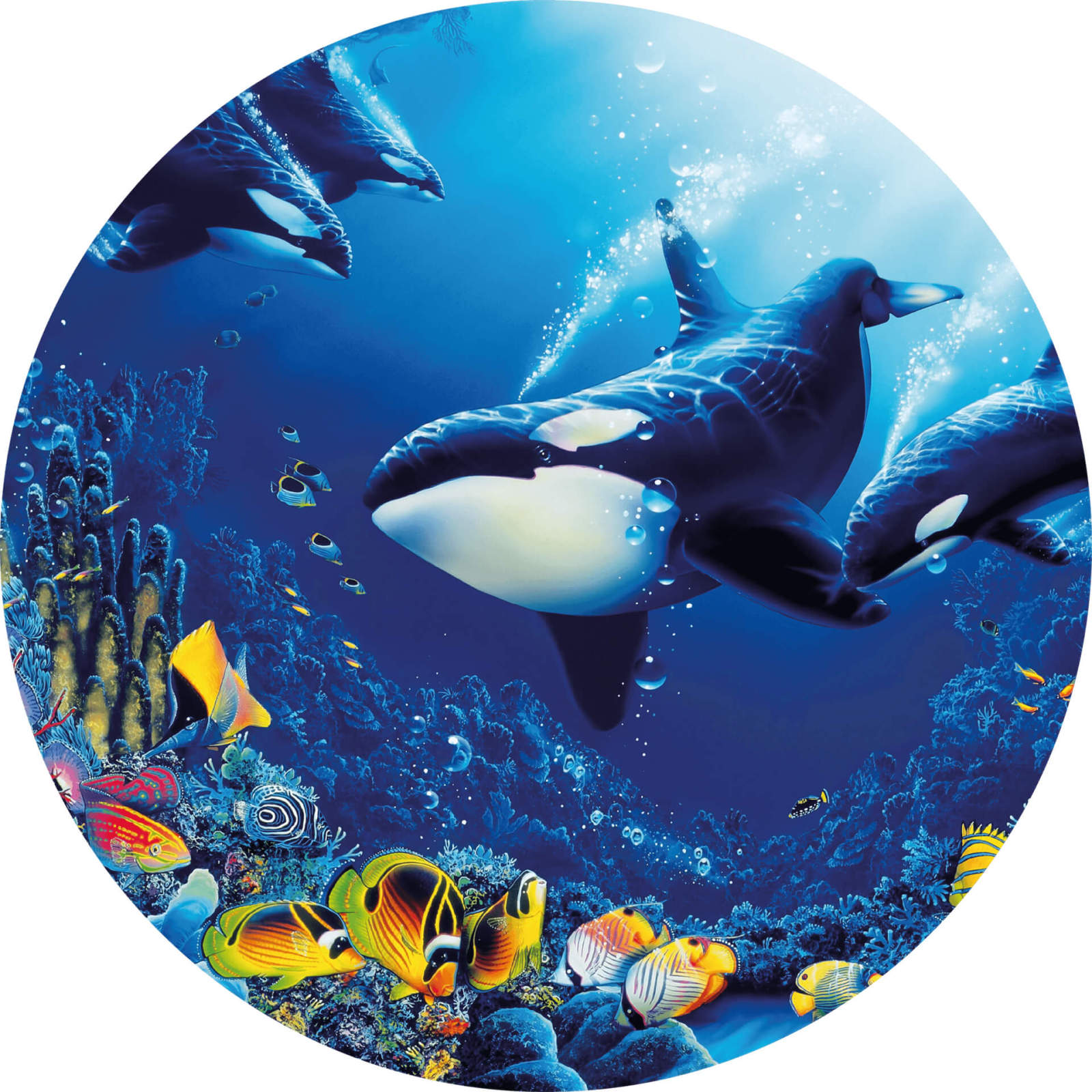 Fototapete DESIGNWALLS 2.0 - blau-gelb - Unterwasser - 1,4 Meter