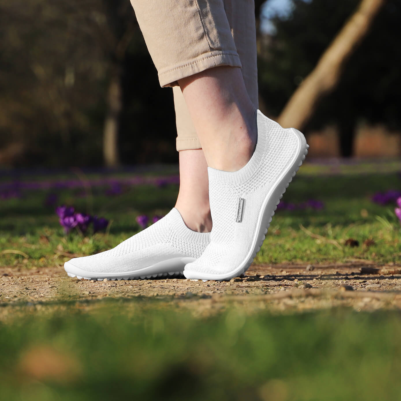 scio white