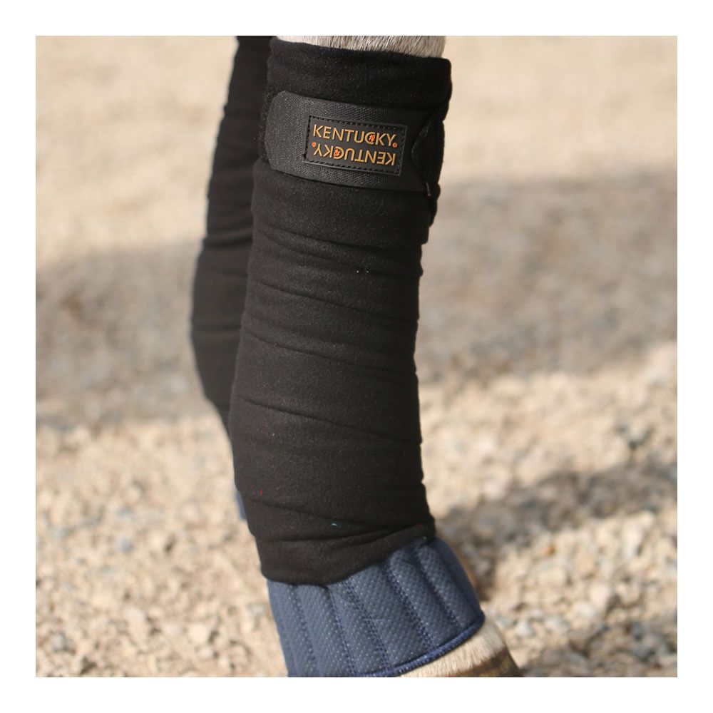 Kentucky ABSORB - Flanelle x4 bleu