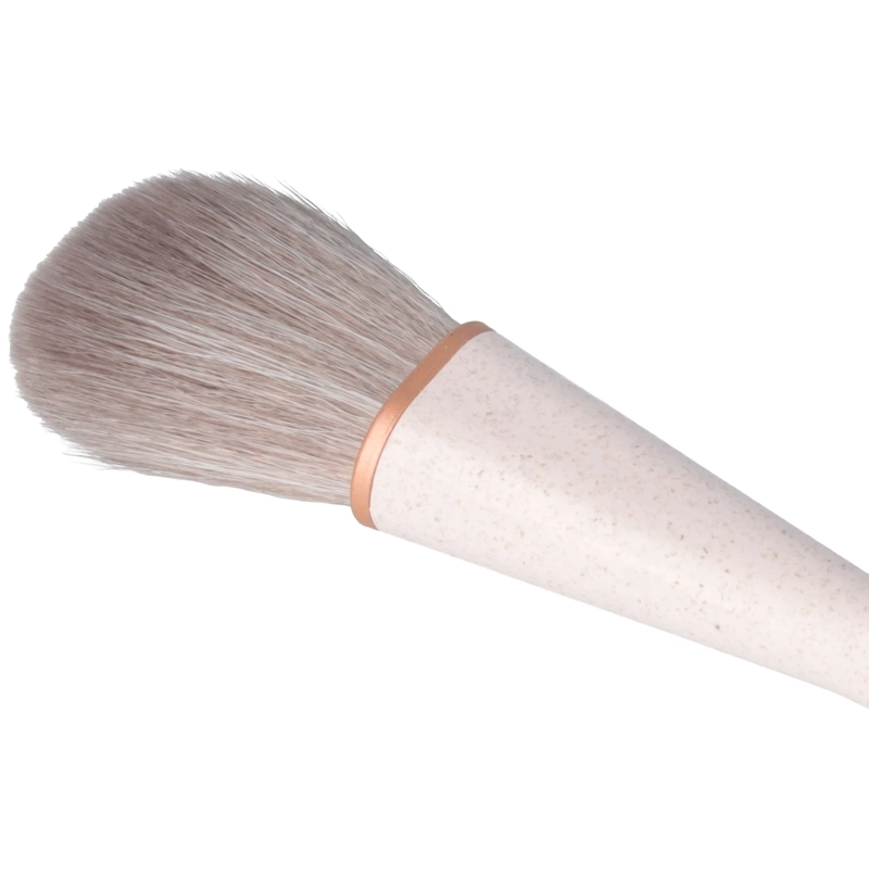 Parsa Beauty Blush Brush
