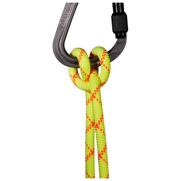 Mammut - 9.5 Alpine Core Protect Dry Rope - Corde à simple