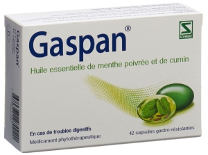 GASPAN Kapseln magensaftresistent, 42 Stück