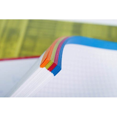 Cahier spirale Clairefontaine Bind'o block A4+ 22,5 x 29,7 cm perforé petits carreaux 160 pages