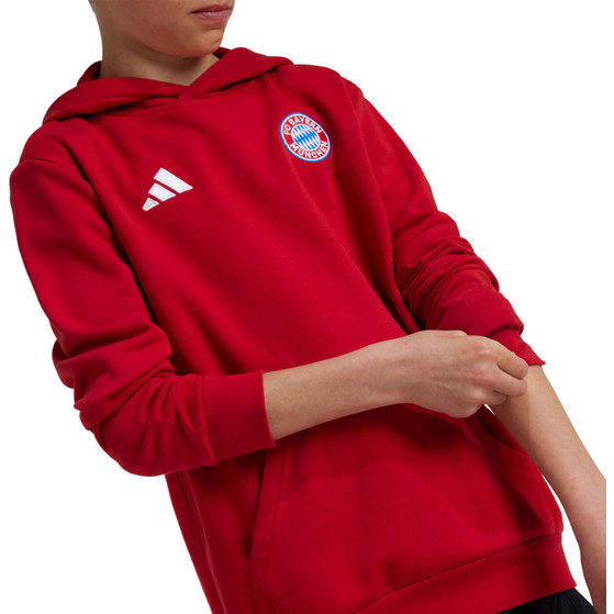 adidas Bayern München DNA Hoody Kids