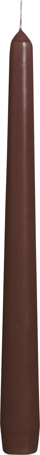 Bolsius dinerkaars bruin D 2,4 H 25 cm