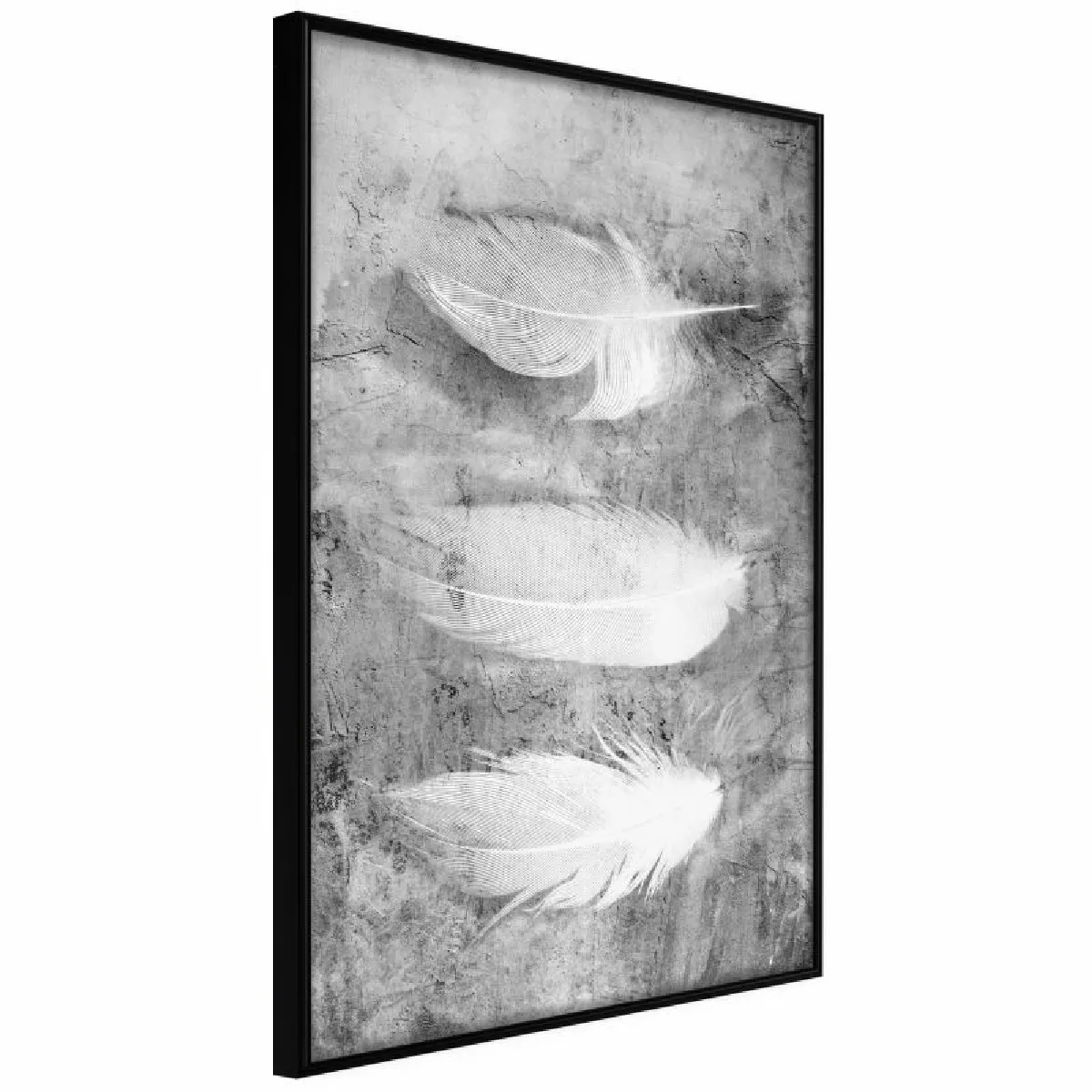 Paris Prix Affiche Delicate Feathers - Noir