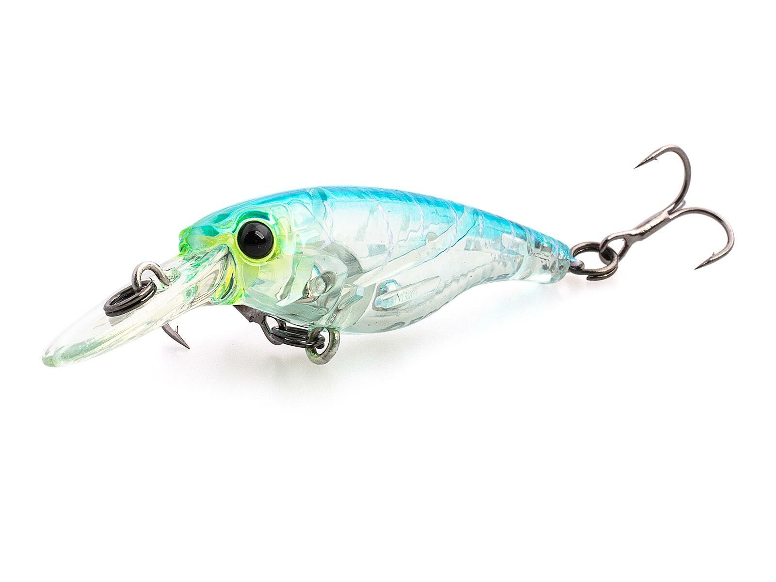 SX 40LC (383) Blue Shrimp