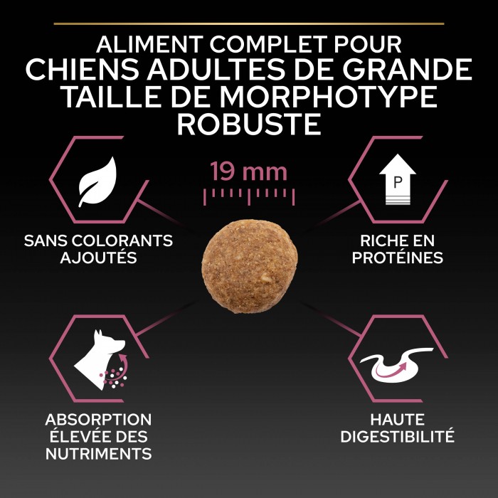 PRO PLAN Sensitive Skin Large Robust Adult au Saumon - Croquettes pour chien