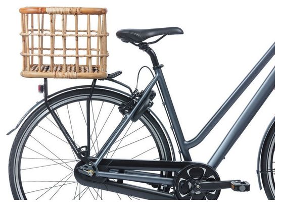 Kit de Montage Basil Green Life MIK Noir