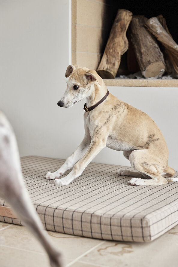 OYOY Living Design Robin Hundehalsbånd - Stor Choko