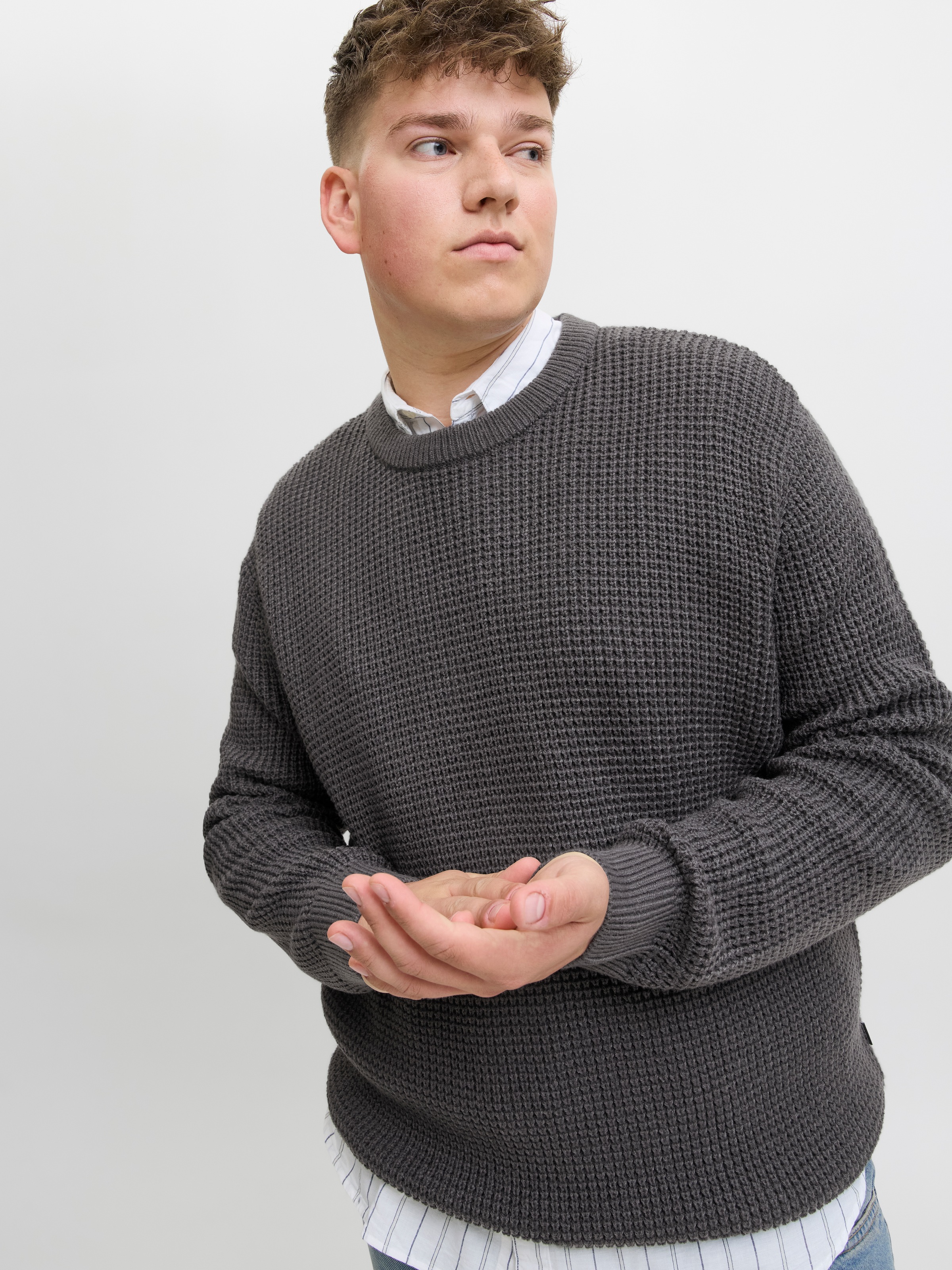 Jack & Jones PlusSize Strickpullover »JJGLOBAL KNIT CREW NECK PLS«