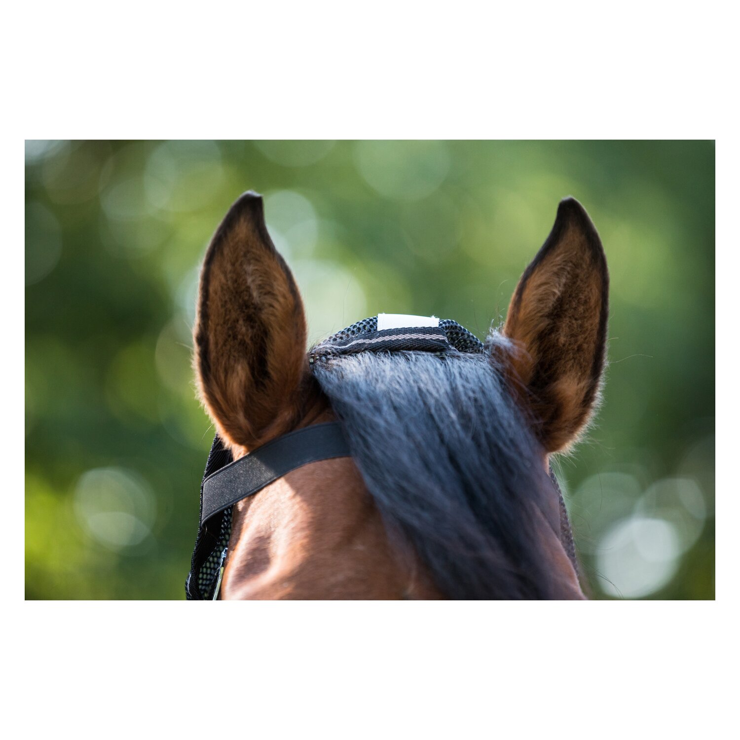 EQUINE MICROTEC Fliegenhalsteil MICRO MESH PROTECT  - black