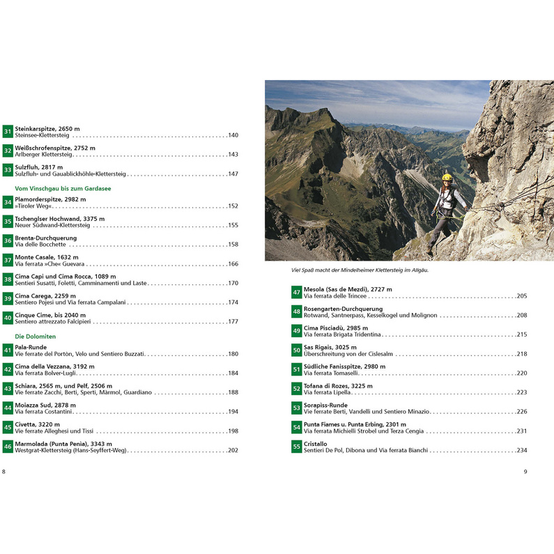 Rother Alpine Klettersteige Ostalpen