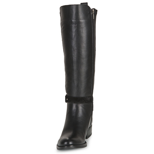 Dorking - D9120-SUGAR-NEGRO - Noir