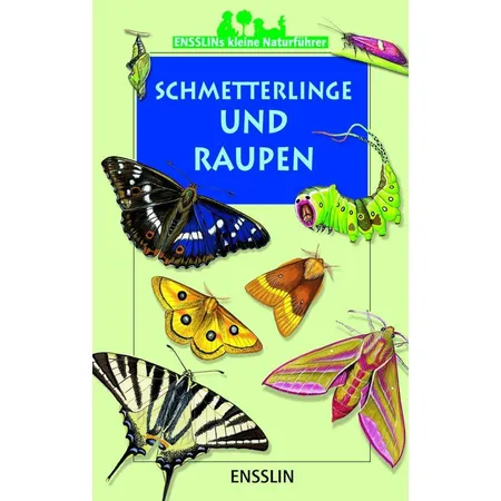 Arena Kleine Naturführer Schmetterlinge und Raupen