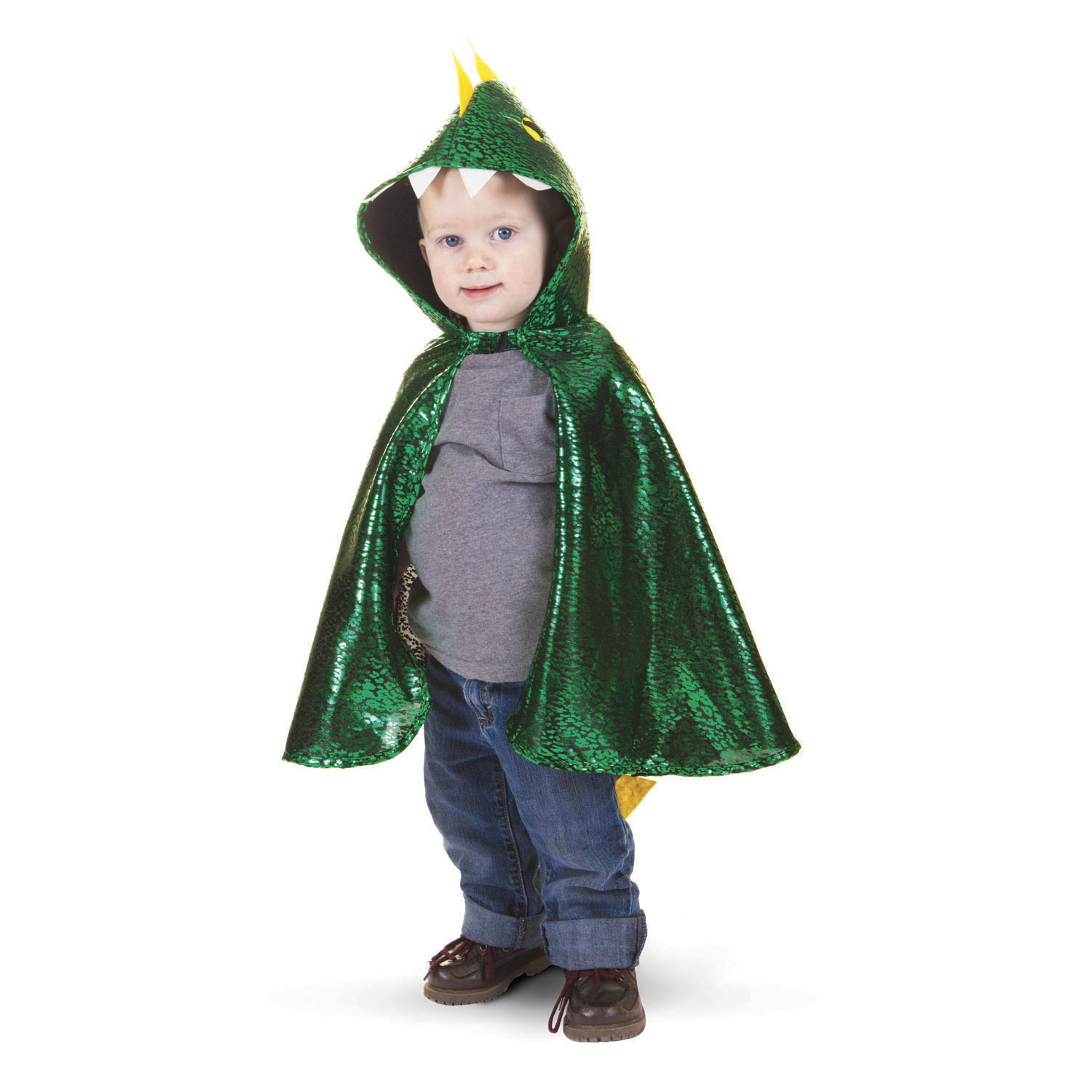 Cape Draak Groen, 2-3 jaar