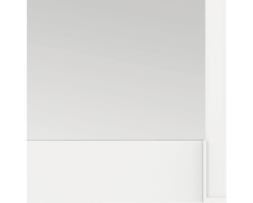 Insectenhor Windhager PLUS kozijndeur wit 100x210 cm