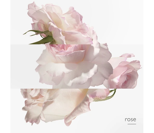 Hermès Concentré de pamplemousse rose Eau de Toilette