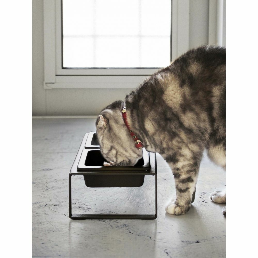Double gamelle design surélevée pour chat tower