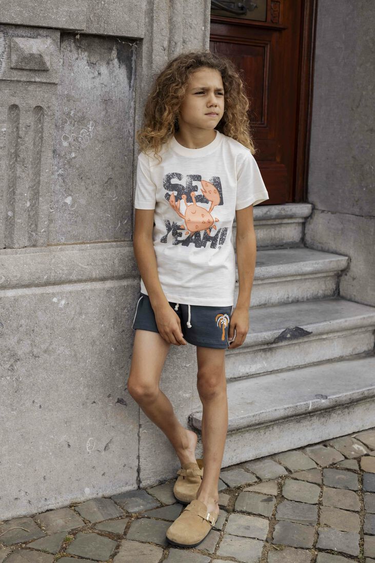 AMMEHOELA grijze ammehoela korte broek am.apollo.20