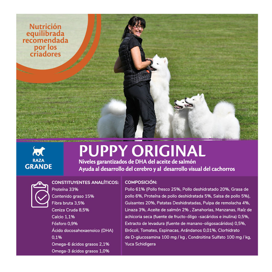 Ração Wellness Core Puppy Large Original com Frango para Cães